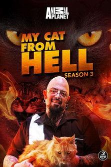 My Cat from Hell Sezon 3
