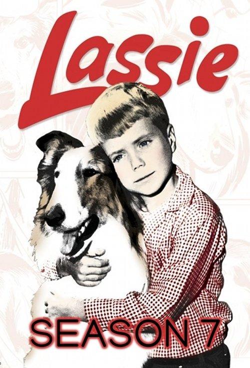 Lassie Sezon 7