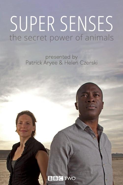 Super Senses: The Secret Power of Animals dizi afişi