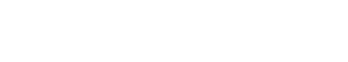 Nemesis logo