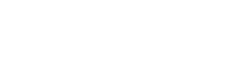Into The Ring logo