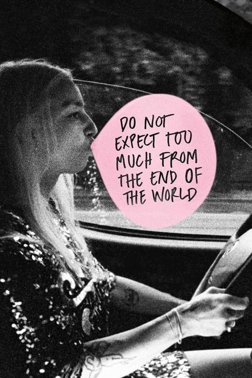 Do Not Expect Too Much from the End of the World film afişi