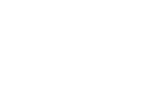 Tierra Incognita logo