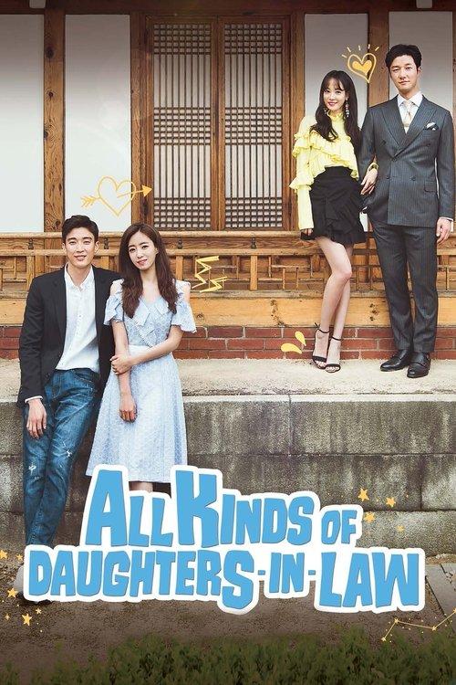 All Kinds of Daughters-in-Law dizi afişi