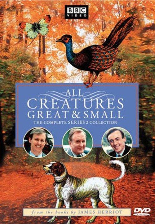 All Creatures Great and Small Sezon 2