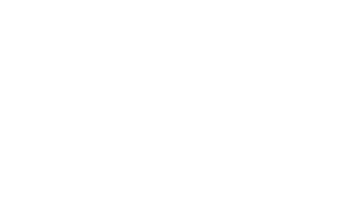Seven Types of Ambiguity logo