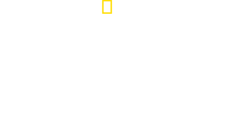 Port Protection Alaska logo