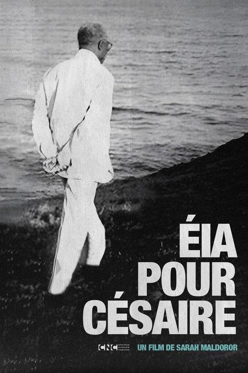 Papa Césaire film afişi
