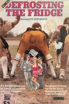 Defrosting the Fridge film afişi