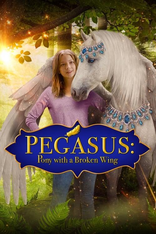 Pegasus: Pony With a Broken Wing film afişi