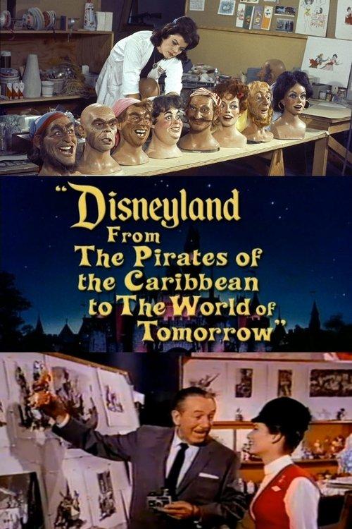Disneyland: From the Pirates of the Caribbean to the World of Tomorrow film afişi