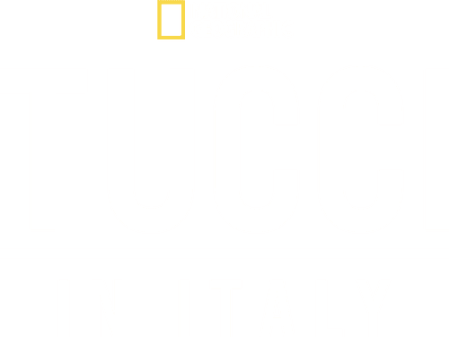 Tucci in Italy logo