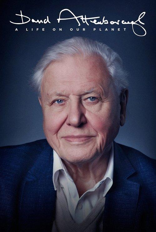 David Attenborough: A Life on Our Planet film afişi