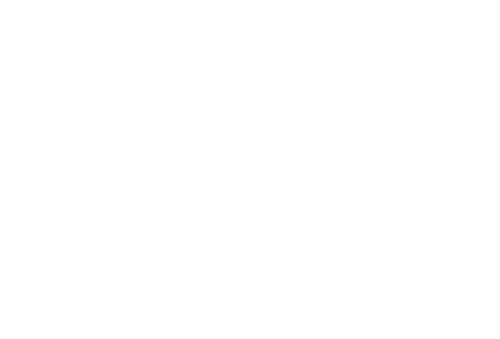 The First Frost logo