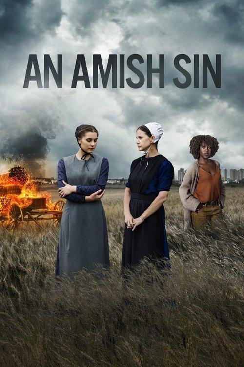 An Amish Sin film afişi