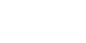 The Next Stop W logo