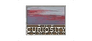 The Curiosity Company