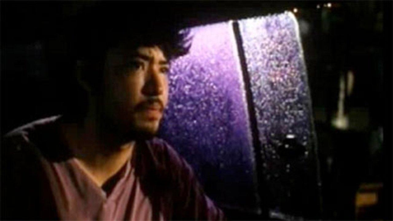 Jesus the Revolutionary backdrop