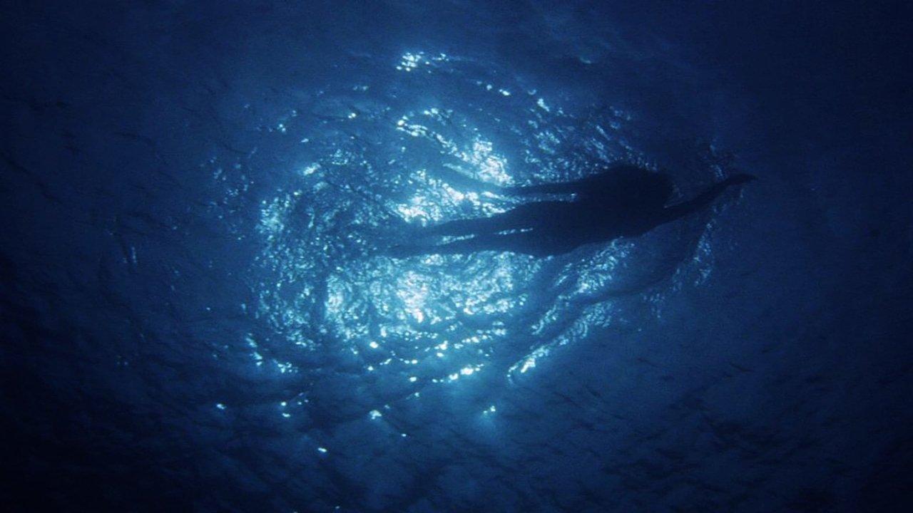 Les dents de la mer: Un succès monstre backdrop