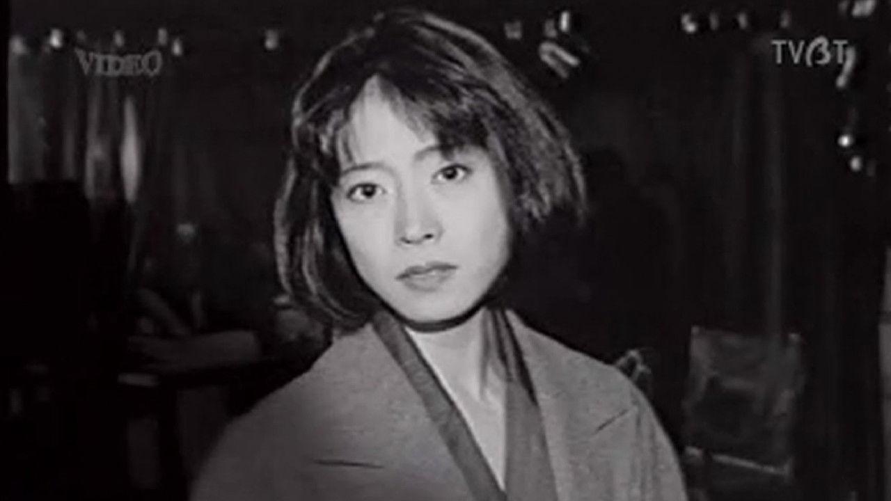 ファイル ボーダー backdrop