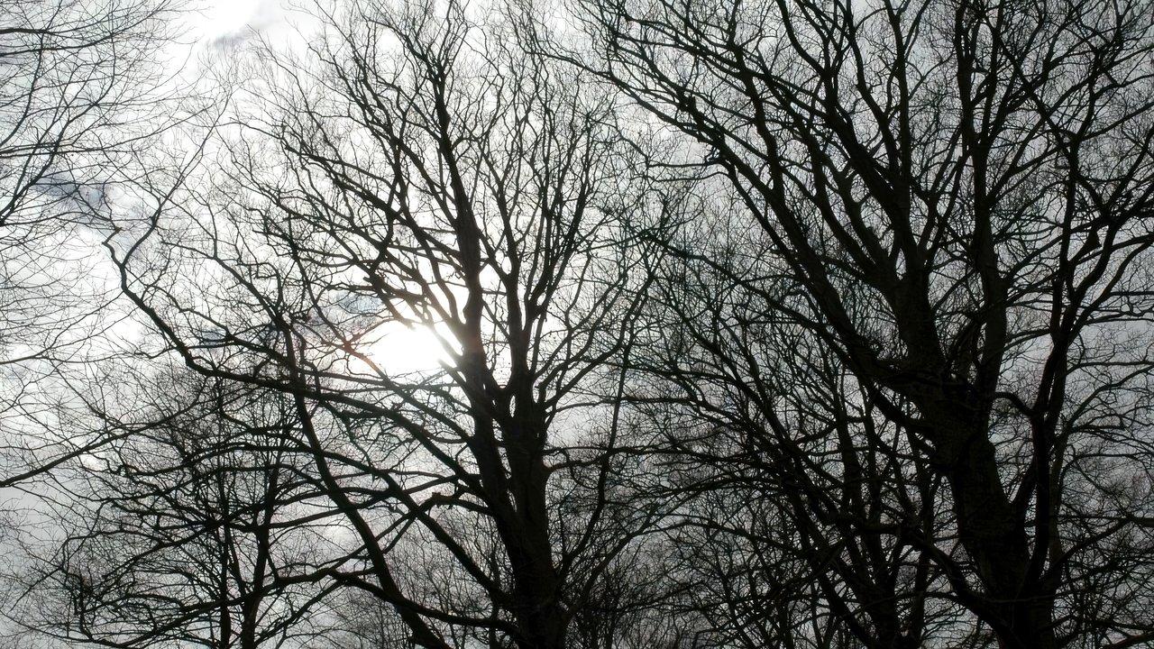 Tales from the Darkside backdrop