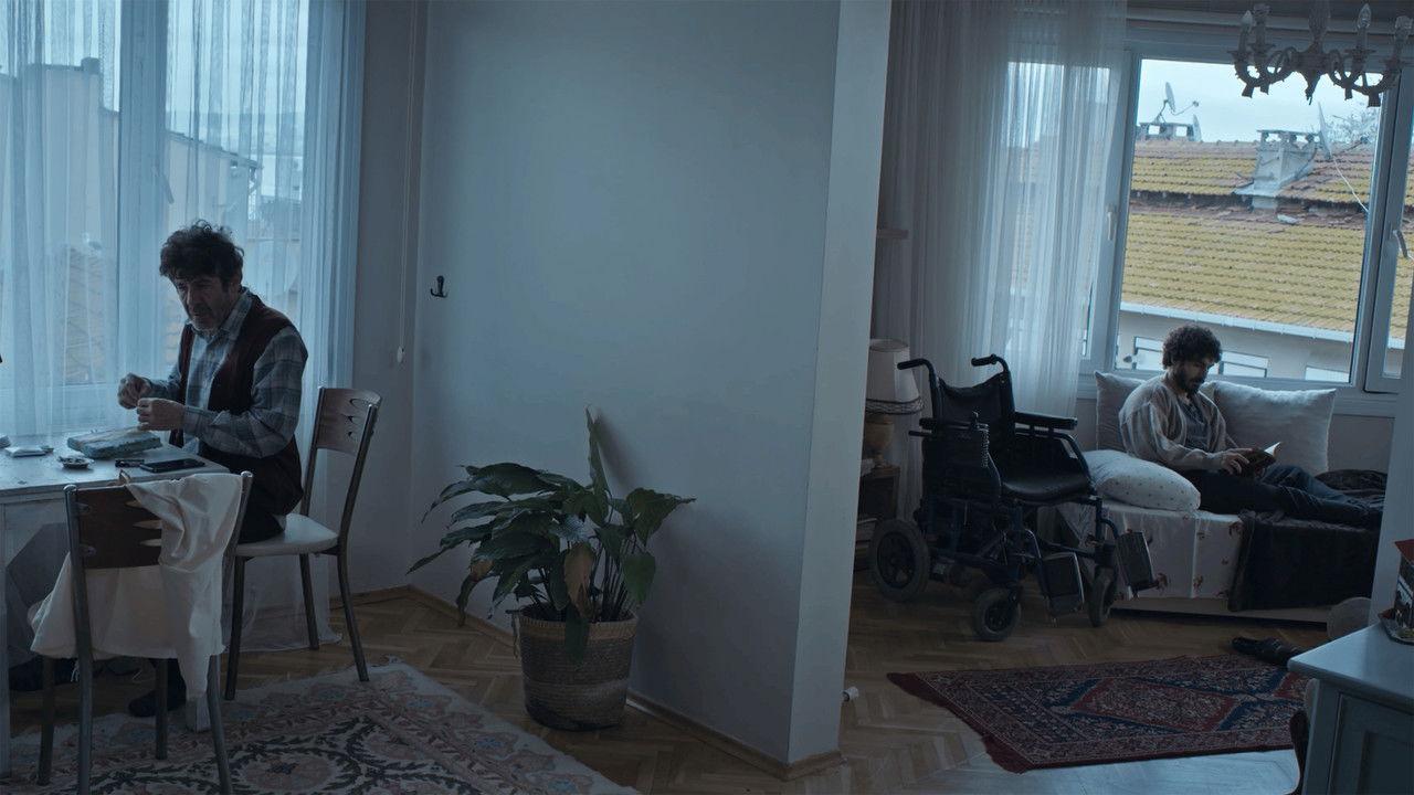 Trees I Remember backdrop