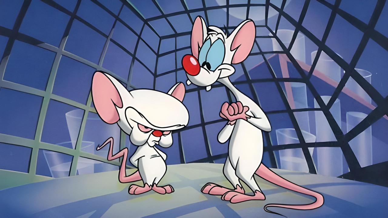 Pinky and the Brain backdrop