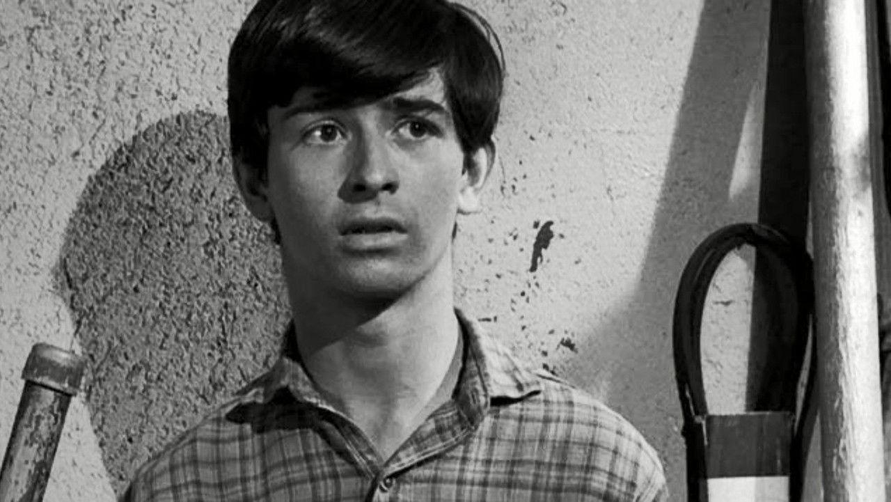 The Old Man Picked a Lemon