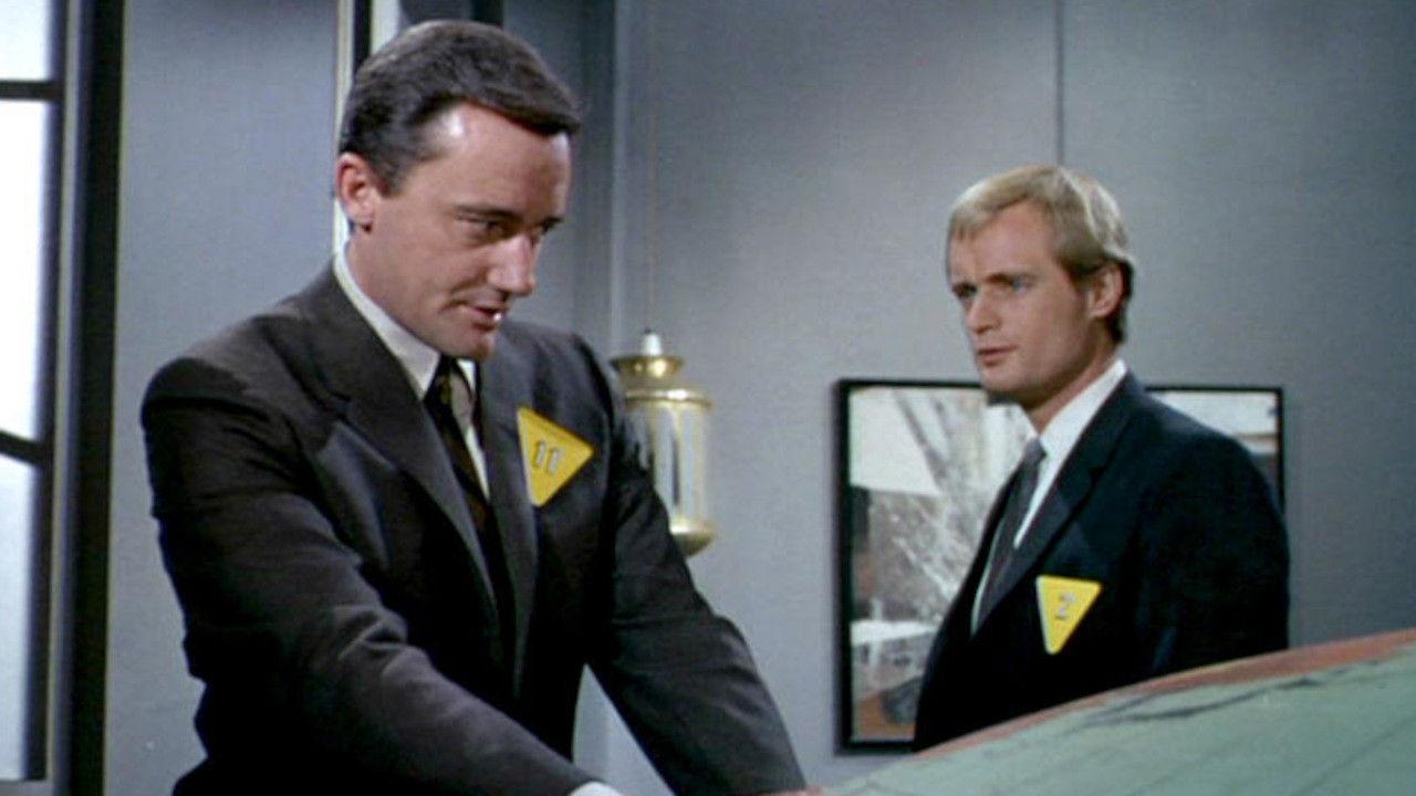 The Cherry Blossom Affair