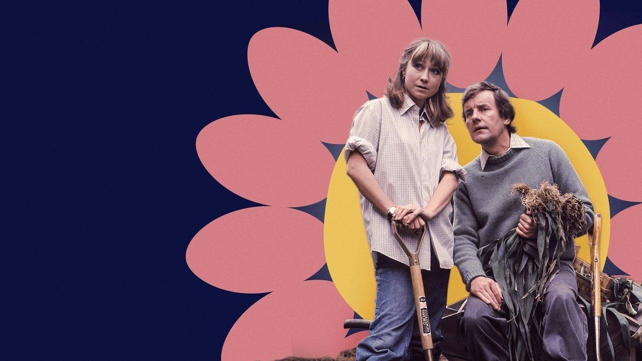 The Good Life backdrop