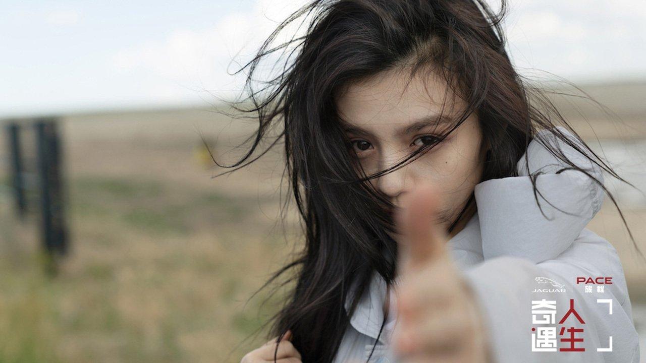 Adventure Life backdrop