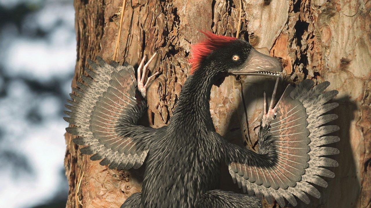 A New Prehistory backdrop