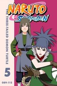 S5 • The Three-Tailed Demon Turtle