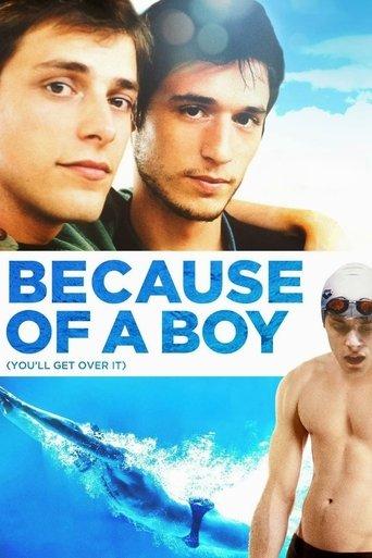 Because of a Boy film afişi