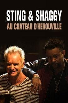 Sting & Shaggy au Château d'Hérouville film afişi