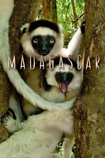 Madagascar dizi afişi
