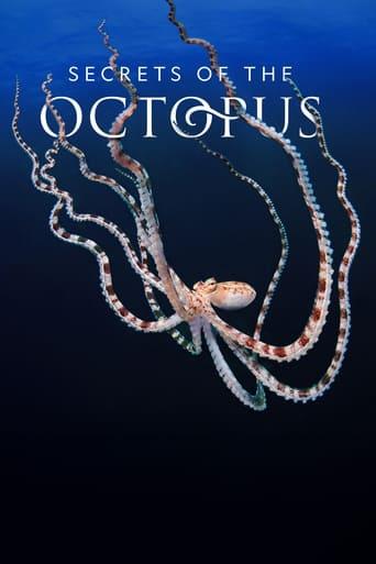 Secrets of the Octopus dizi afişi
