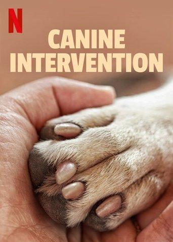 Canine Intervention dizi afişi