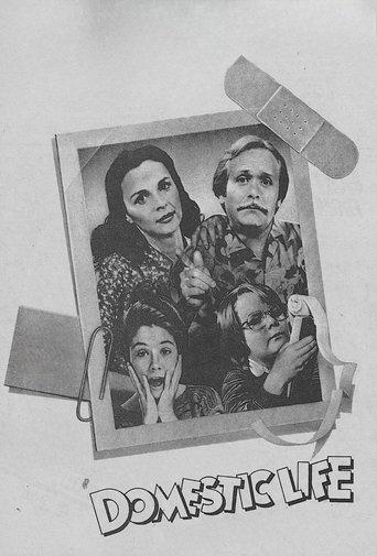 Domestic Life dizi afişi