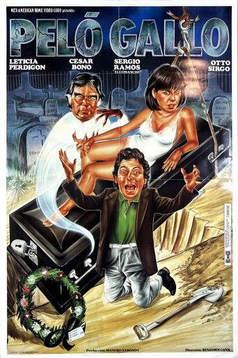 Peló gallo film afişi
