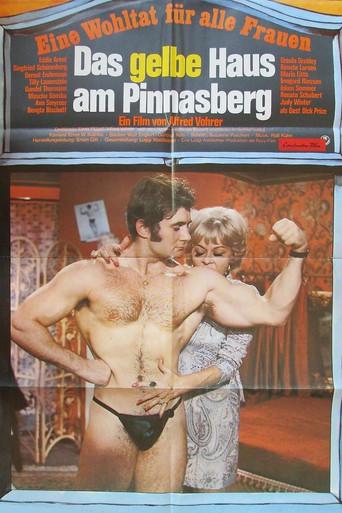 Das gelbe Haus am Pinnasberg film afişi