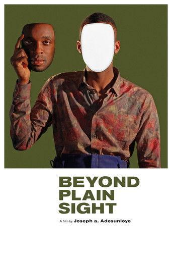 Beyond Plain Sight film afişi