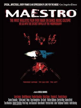 Maestro film afişi