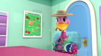 It's a Hard Doc Life