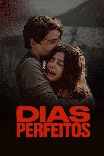 Perfect Days dizi afişi