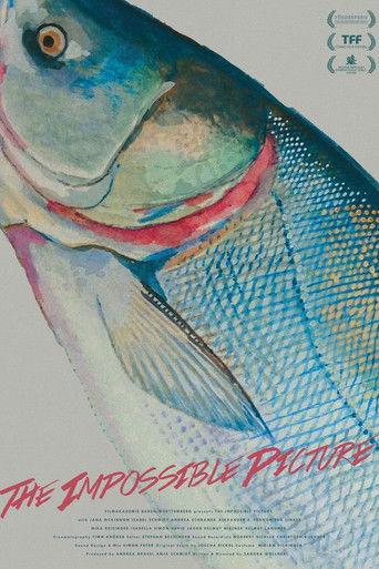 The Impossible Picture film afişi