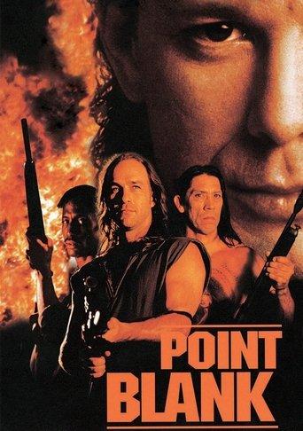 Point Blank film afişi