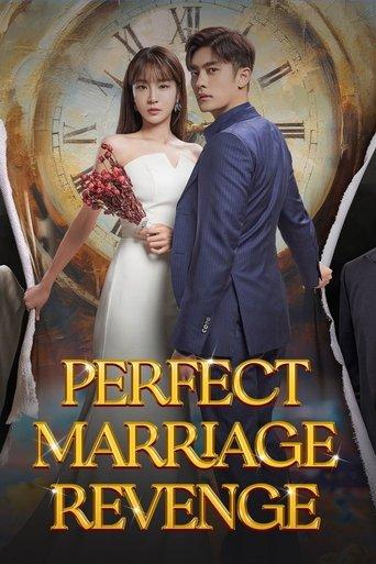 Perfect Marriage Revenge dizi afişi