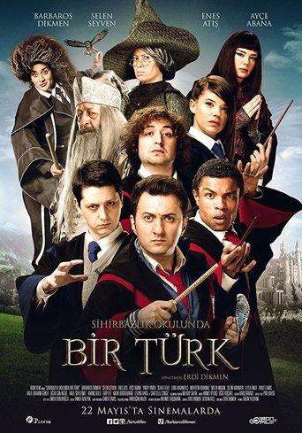 Sihirbazlık Okulunda Bir Türk film afişi