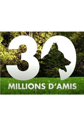 30 millions d'amis dizi afişi